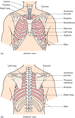 Figure c02/c02f007