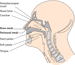 Figure c13/c13uf012