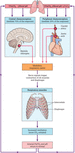 Figure c14/c14f028