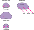 Figure c20/f008