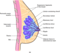 Figure c20/f015a