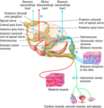 Figure c22/f001